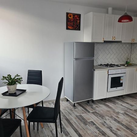 Luxury Apartments Mall Area Bacău Exterior foto